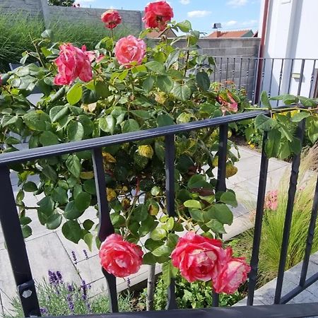 Penzion U Buštíků Sardice Esterno foto