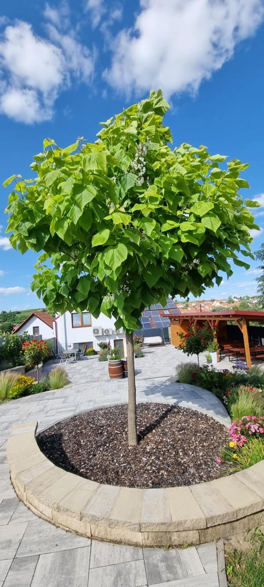Penzion U Buštíků Sardice Esterno foto